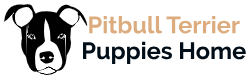 Pitbull Terrier Puppies Home